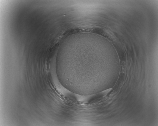 X0000068761298200605121625