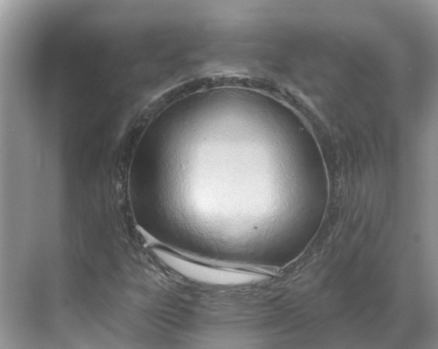 X0000068761303200605121625