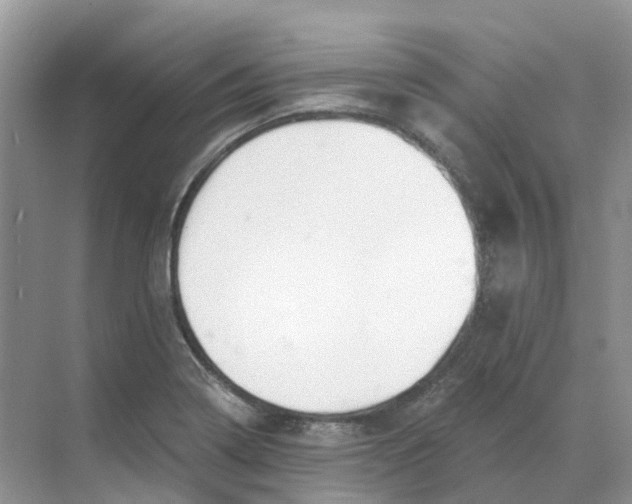 X0000068761322200605121625