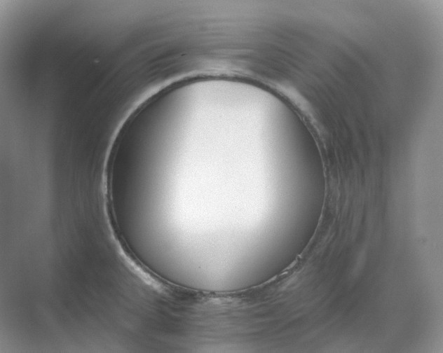 X0000068761335200605121626