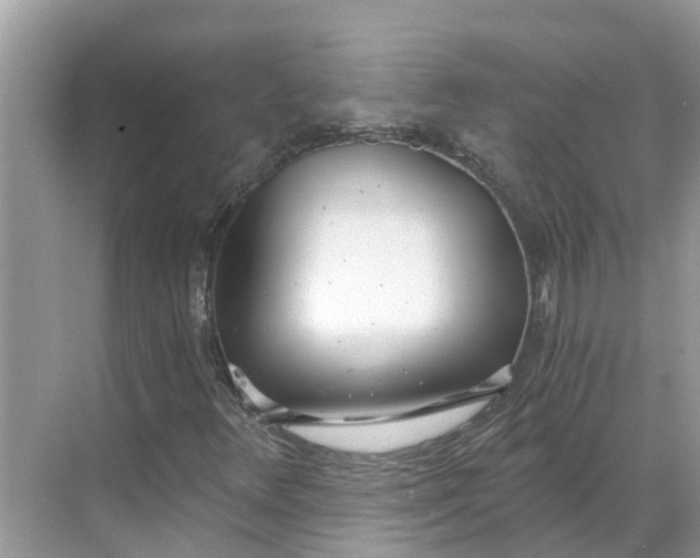 X0000068761348200605121625