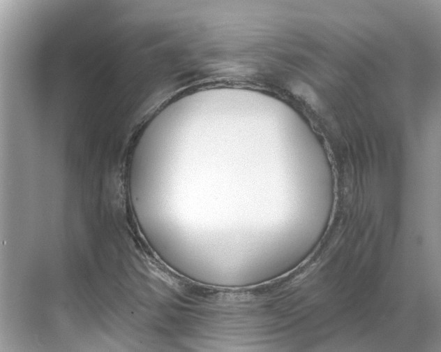 X0000068761354200605121625
