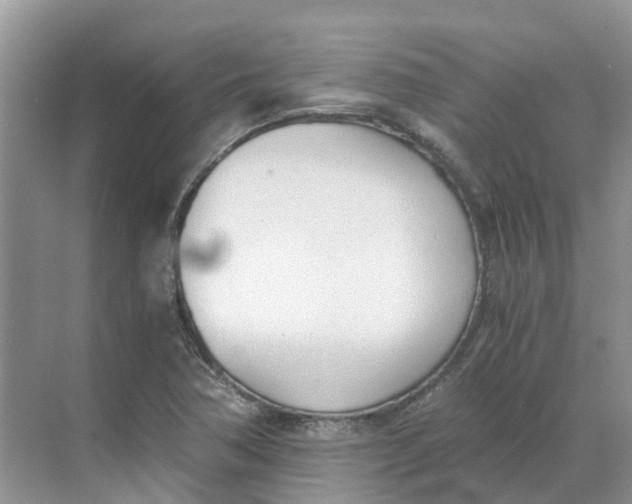 X0000068761362200605121625