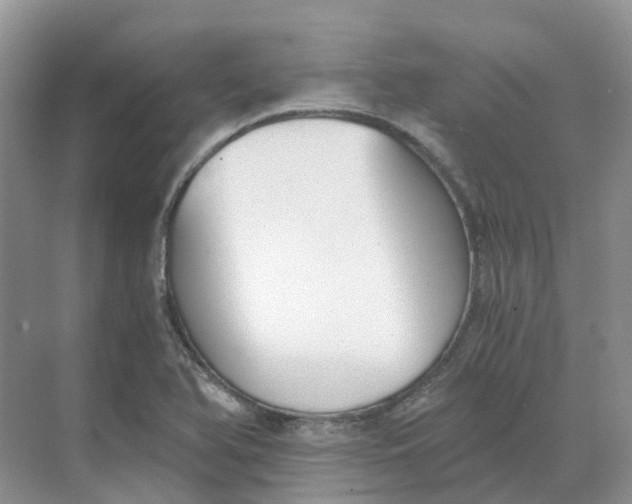 X0000068761366200605121625