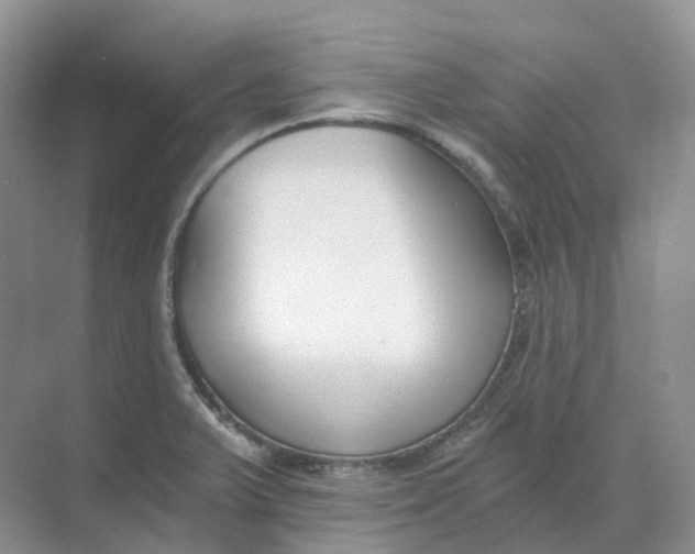 X0000068761375200605121625