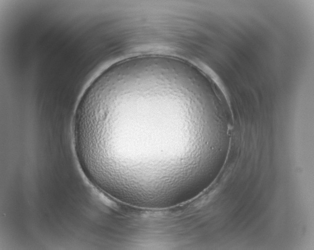 X0000068761389200605121624