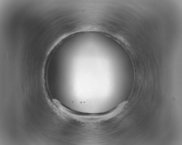 X0000068761422200605121624