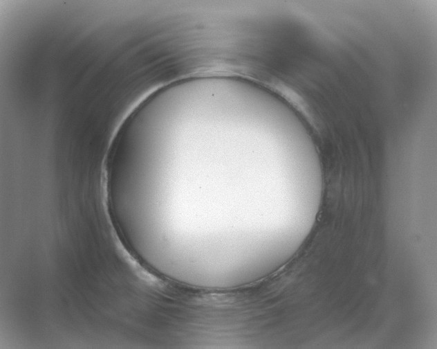 X0000068761476200605121623