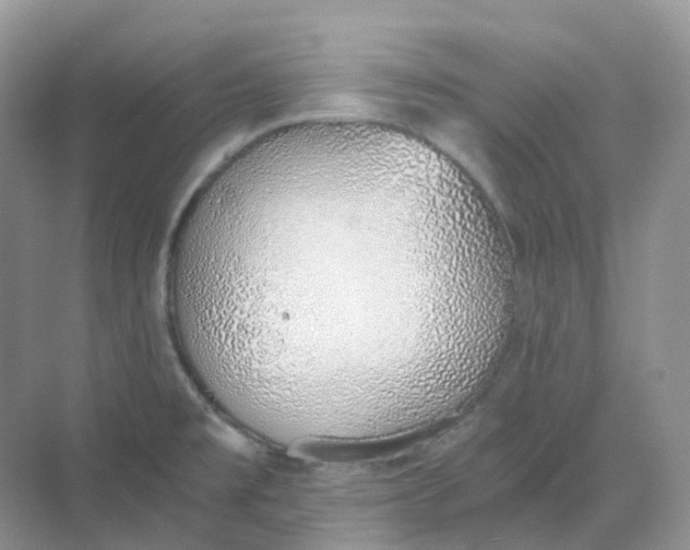 X0000068761477200605121623