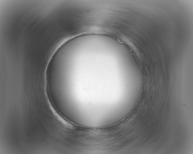 X0000068761479200605121623