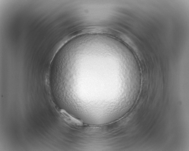 X0000068761481200605121623