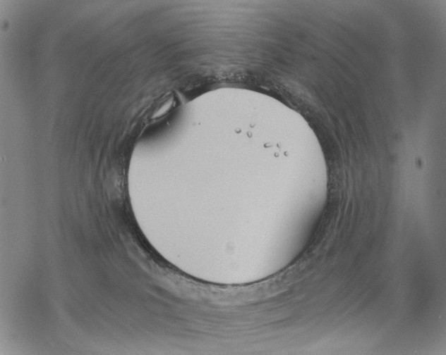 X0000068760039200605191634
