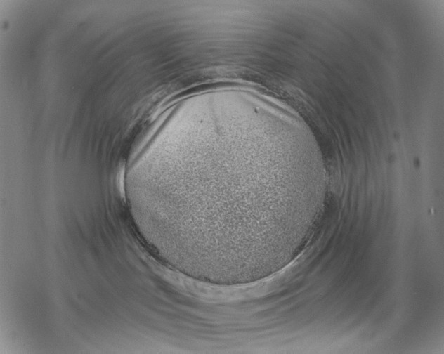 X0000068760047200605191634