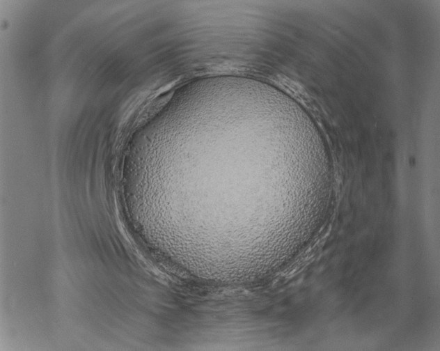 X0000068760097200605191633