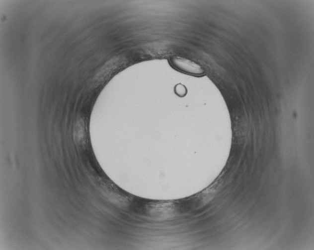 X0000068760132200605191633