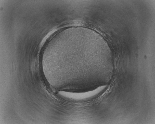 X0000068760200200605191632