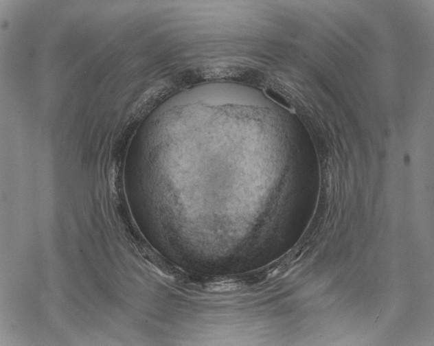 X0000068760219200605191631