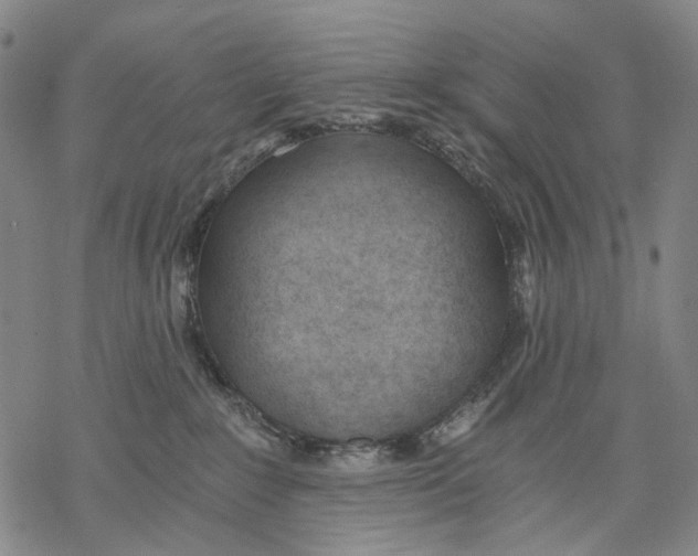X0000068760235200605191631