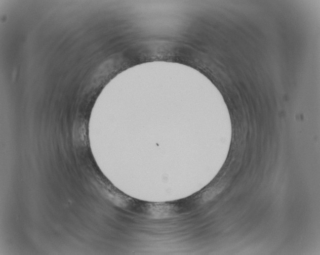 X0000068760336200605191629