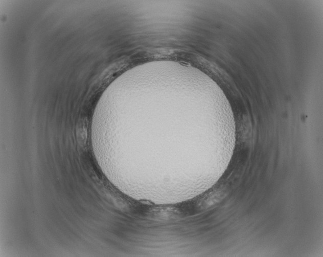 X0000068760427200605191628