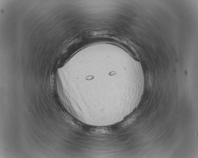 X0000068760475200605191628