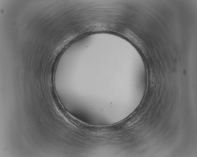 X0000068760485200605191627