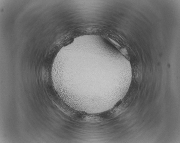 X0000068760568200605191626