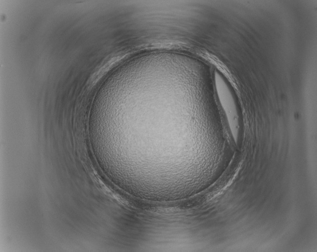X0000068760577200605191626