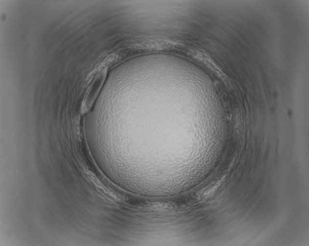 X0000068760585200605191625