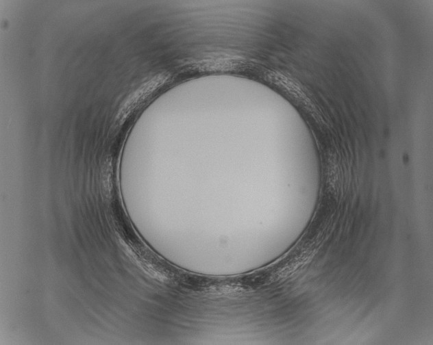 X0000068760586200605191625