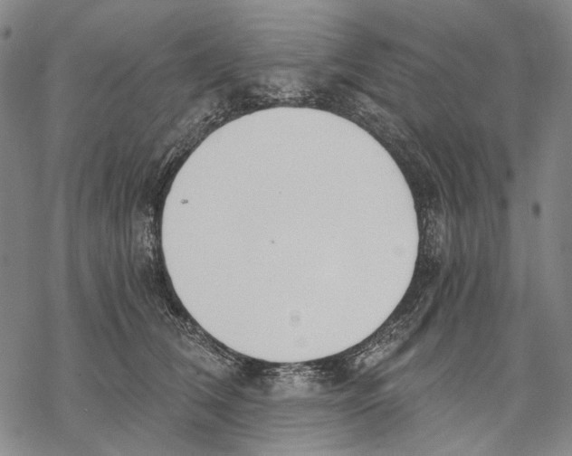 X0000068760612200605191625