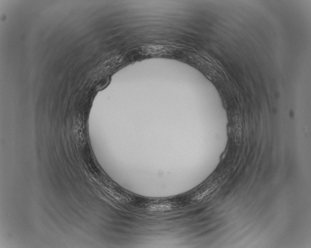 X0000068760653200605191624