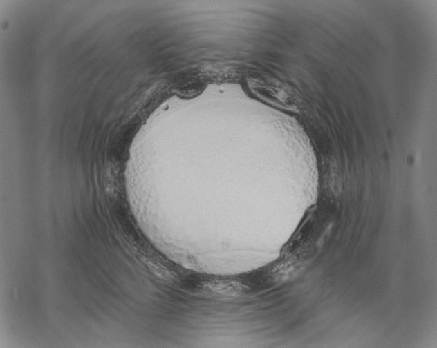 X0000068760712200605191623