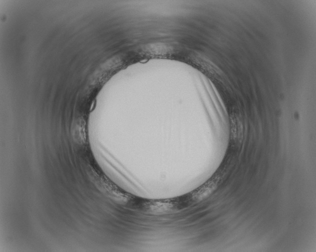 X0000068760718200605191623