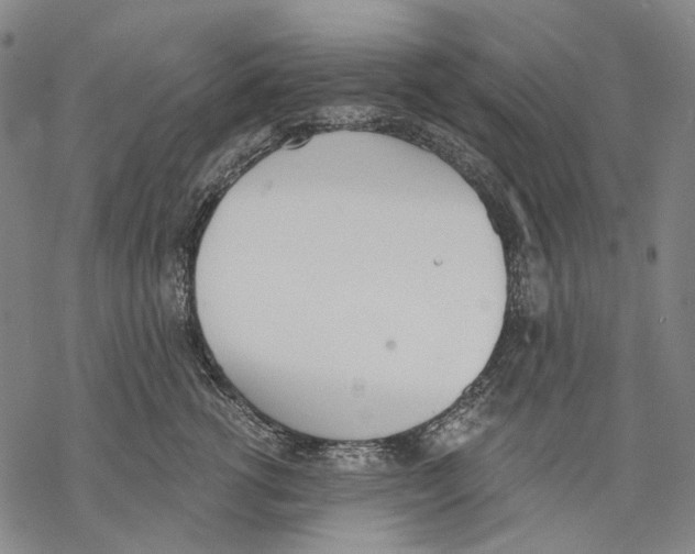 X0000068760762200605191623