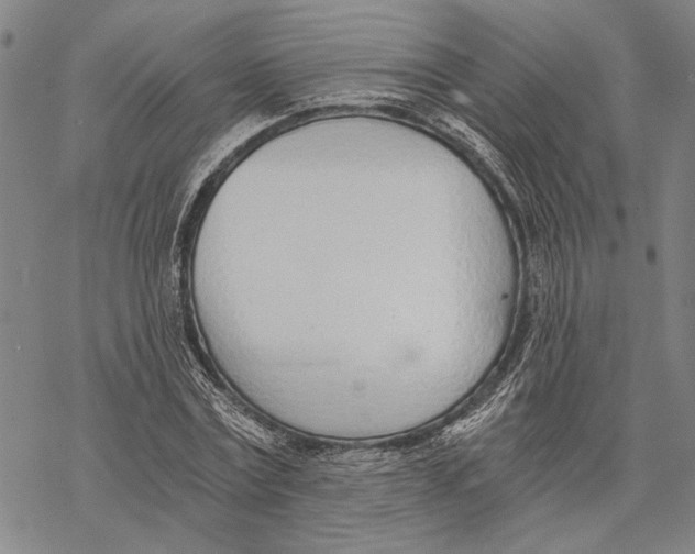 X0000068760779200605191622