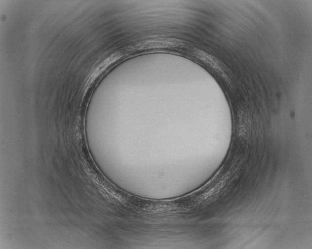 X0000068760786200605191622