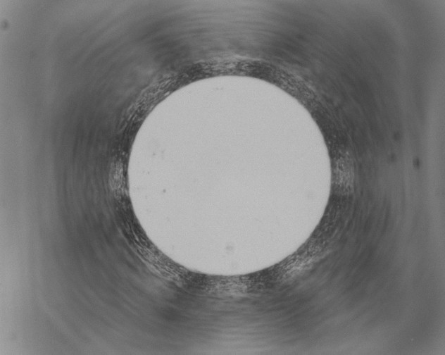 X0000068760820200605191621