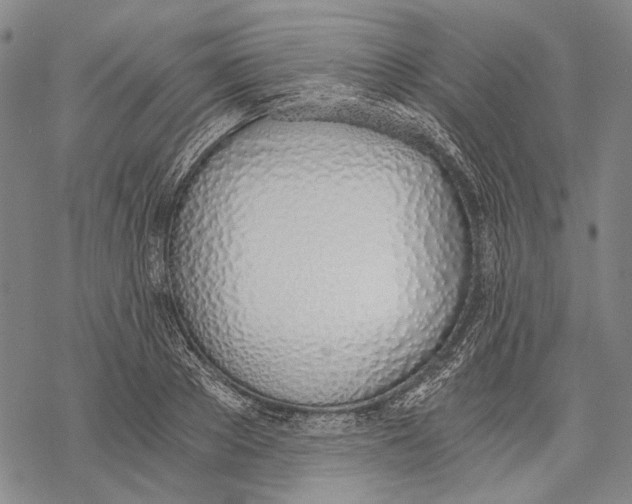 X0000068760889200605191620