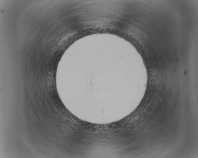 X0000068760918200605191619