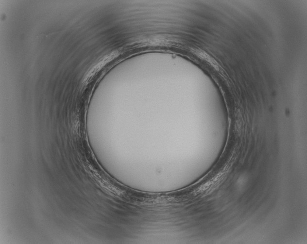 X0000068760922200605191619