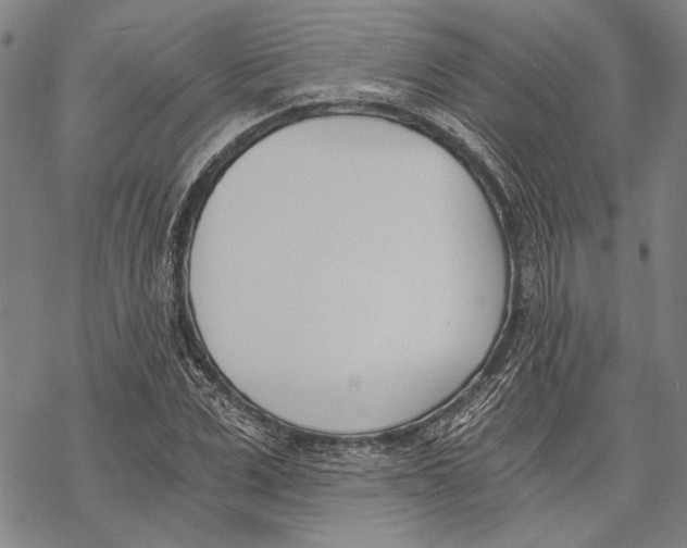 X0000068760975200605191619
