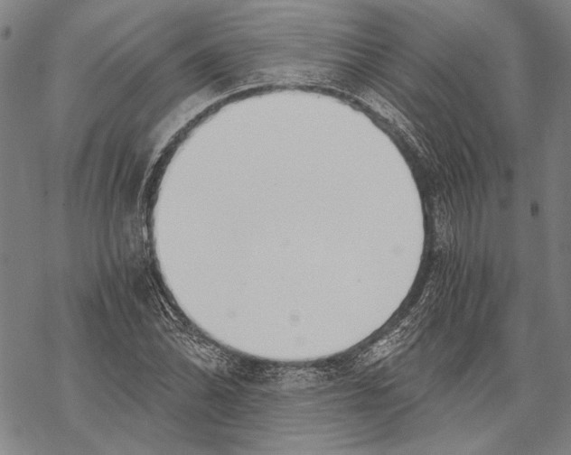 X0000068761070200605191618