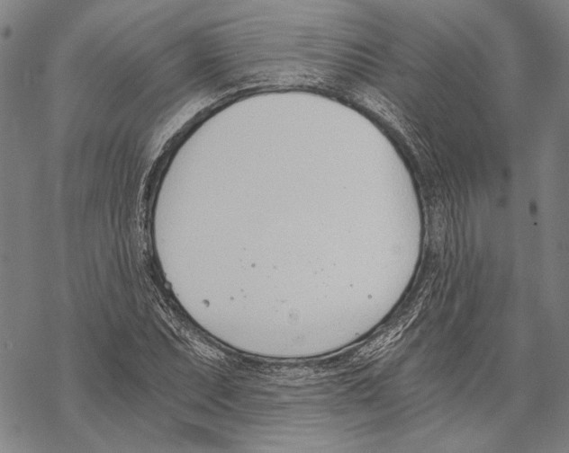 X0000068761071200605191618