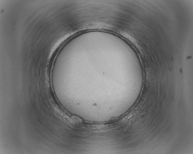 X0000068761120200605191616