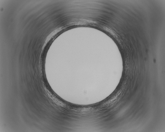 X0000068761122200605191617