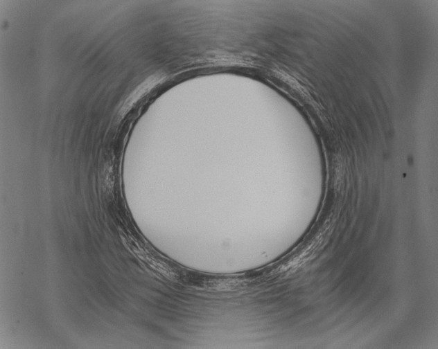 X0000068761163200605191616