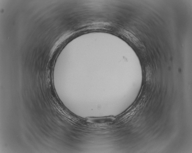X0000068761164200605191616