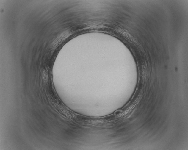 X0000068761257200605191615