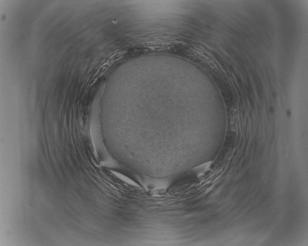 X0000068761298200605191613